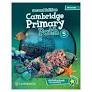 Cambridge primary path level 5 activity book with digital pack 2ed 8 download 37
